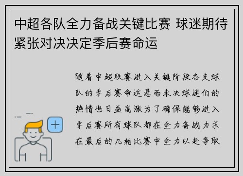 中超各队全力备战关键比赛 球迷期待紧张对决决定季后赛命运