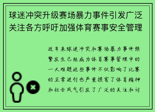 球迷冲突升级赛场暴力事件引发广泛关注各方呼吁加强体育赛事安全管理