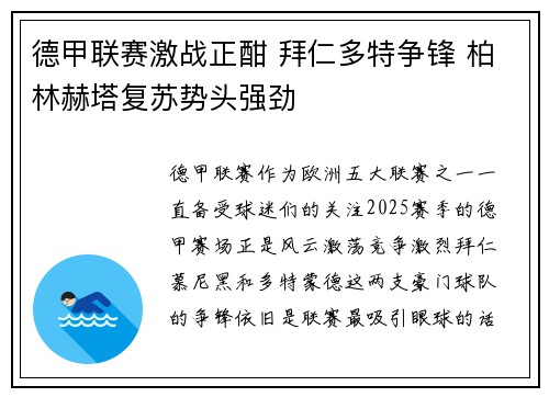 德甲联赛激战正酣 拜仁多特争锋 柏林赫塔复苏势头强劲